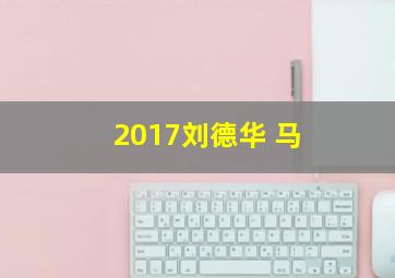 2017刘德华 马